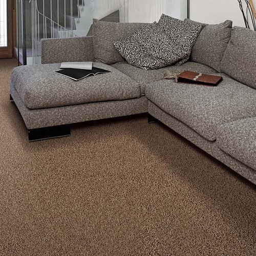 Contemporary carpet in Maryville, TN from Johnson & Sons Flooring