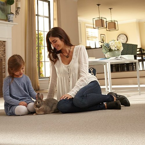 Stylish carpet in Powell, TN from Johnson & Sons Flooring